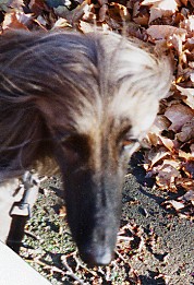 Keil