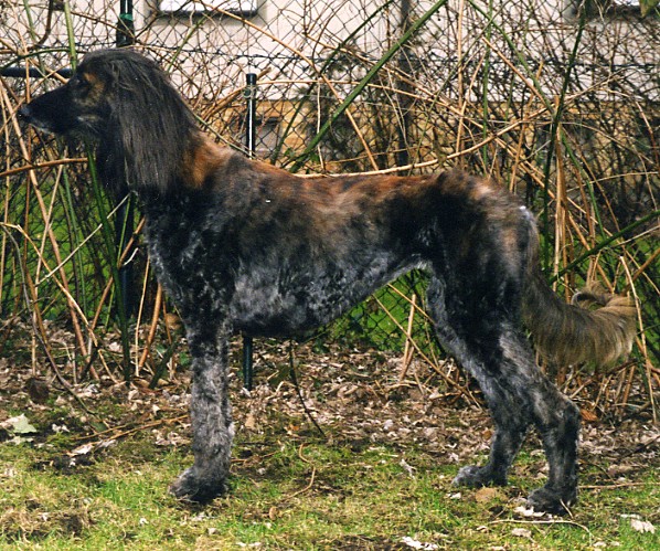 Gene 5 Jahre
