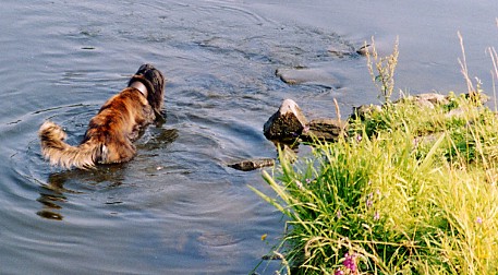 Fluss 1