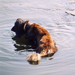 Fluss 2
