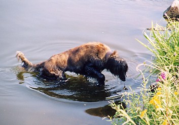 Fluss 5