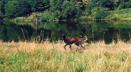 Ruhr